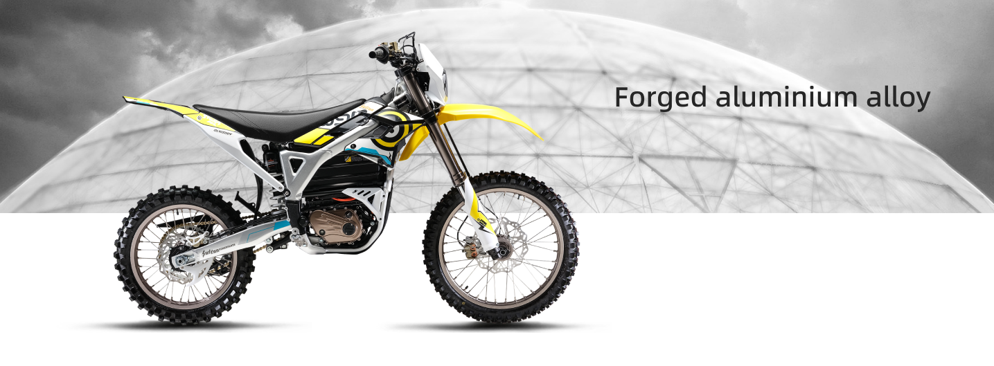 Storm Bee R Storm Bee | Surron USA